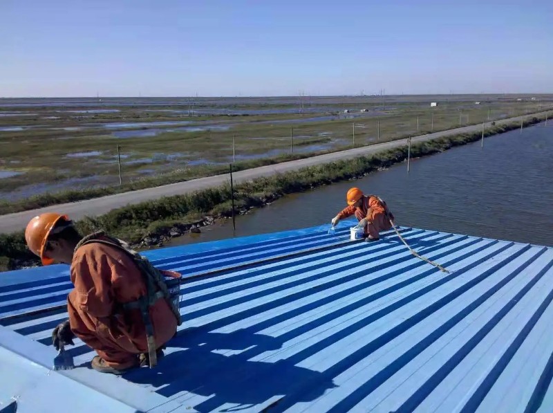 周矶管理区彩钢瓦屋面防腐翻新